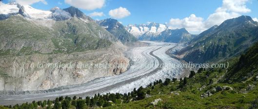 Panoramic shot of glacier of Aletsch shortly after Alte Stafel_21 July 2013